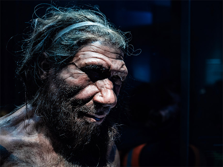 Неандертальцы умели разговаривать как и современные люди