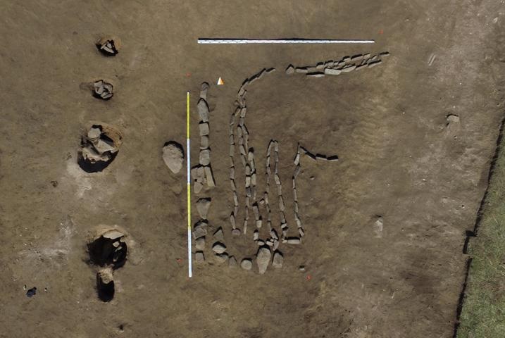 Редкий геоглиф с изображением быка раскопали рядом с Хакасией